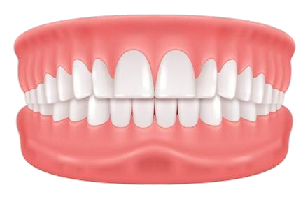 Teeth Image  icon